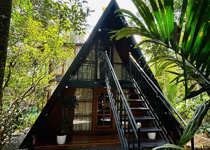 Wild Castle Wayanad